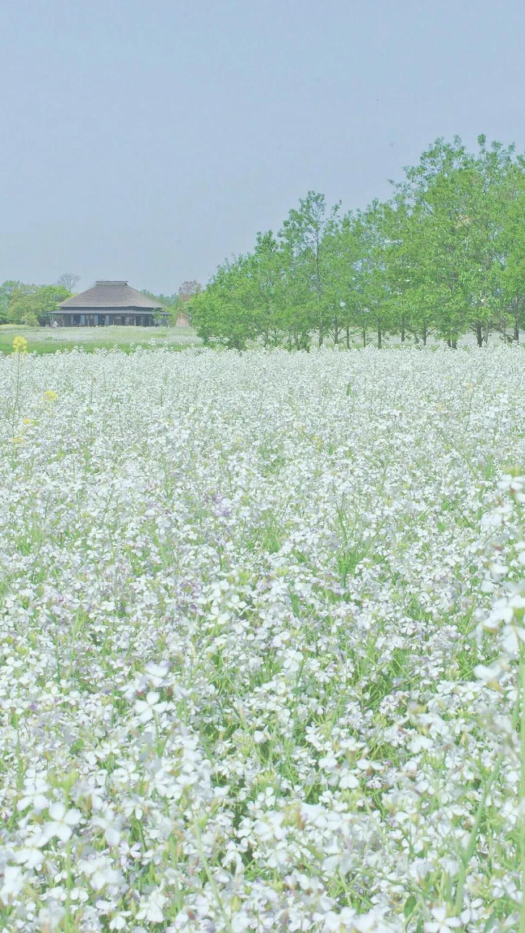 Not everyone can become a great artist, but a great artist can come from anywhere.