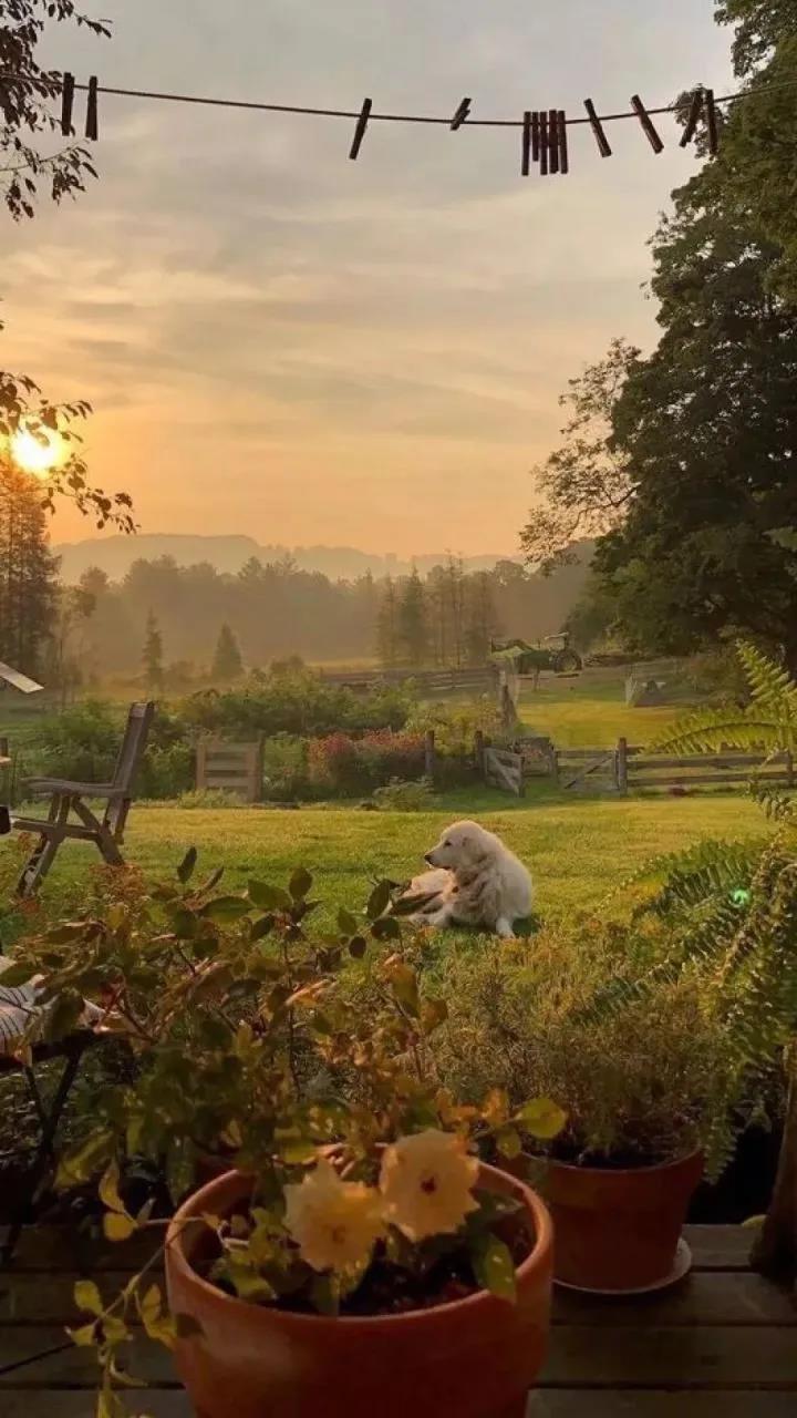 It’s a lonely road to the top.