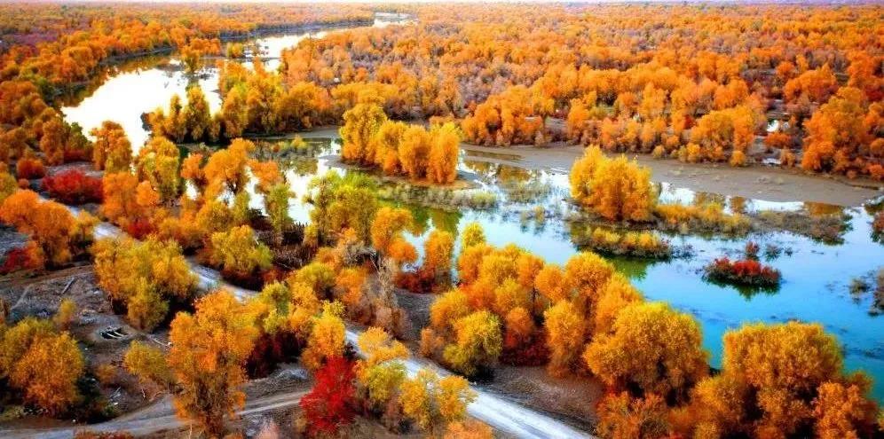 Those who mistake their good luck for their merit are inevitably bound for disaster. —[France] Herold