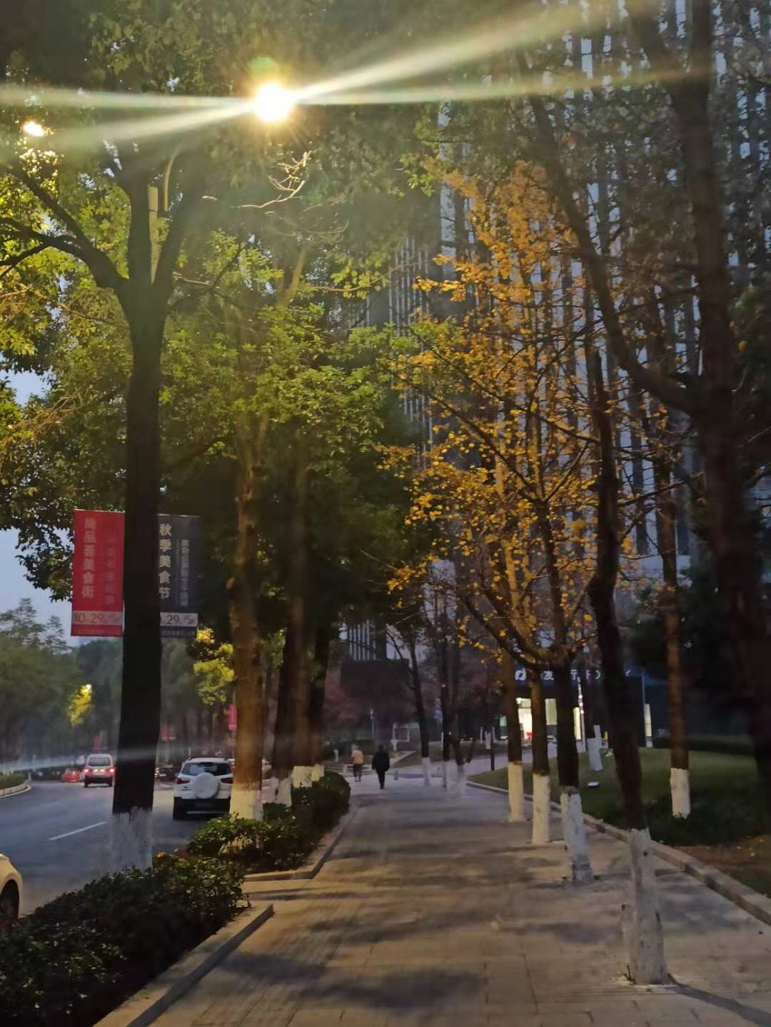 早晨七点半的灯光