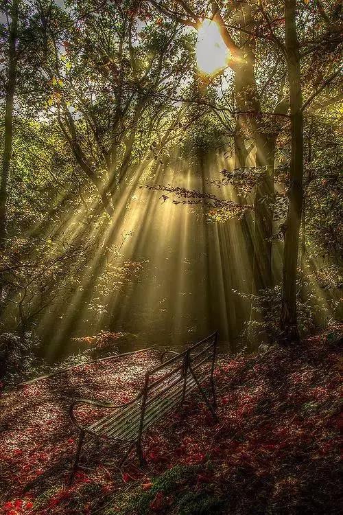 Pain teaches us a lesson which forces us to grow.