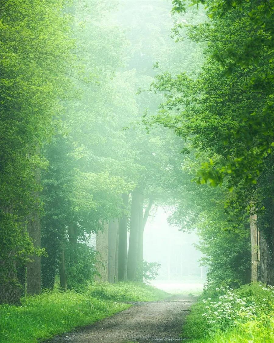 It’s not the mountain we conquer, but ourselves.