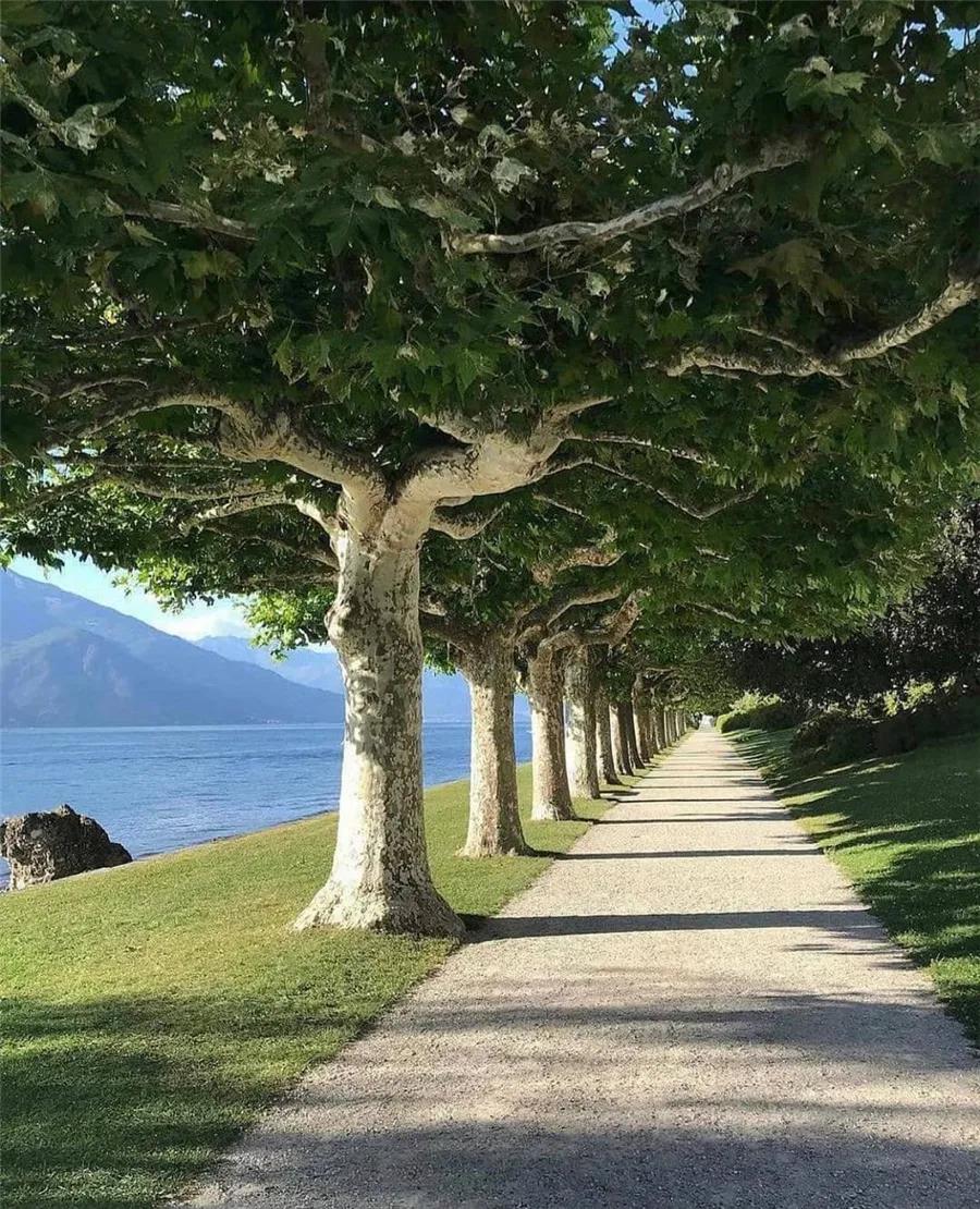 The only direction in life that matters is forward.