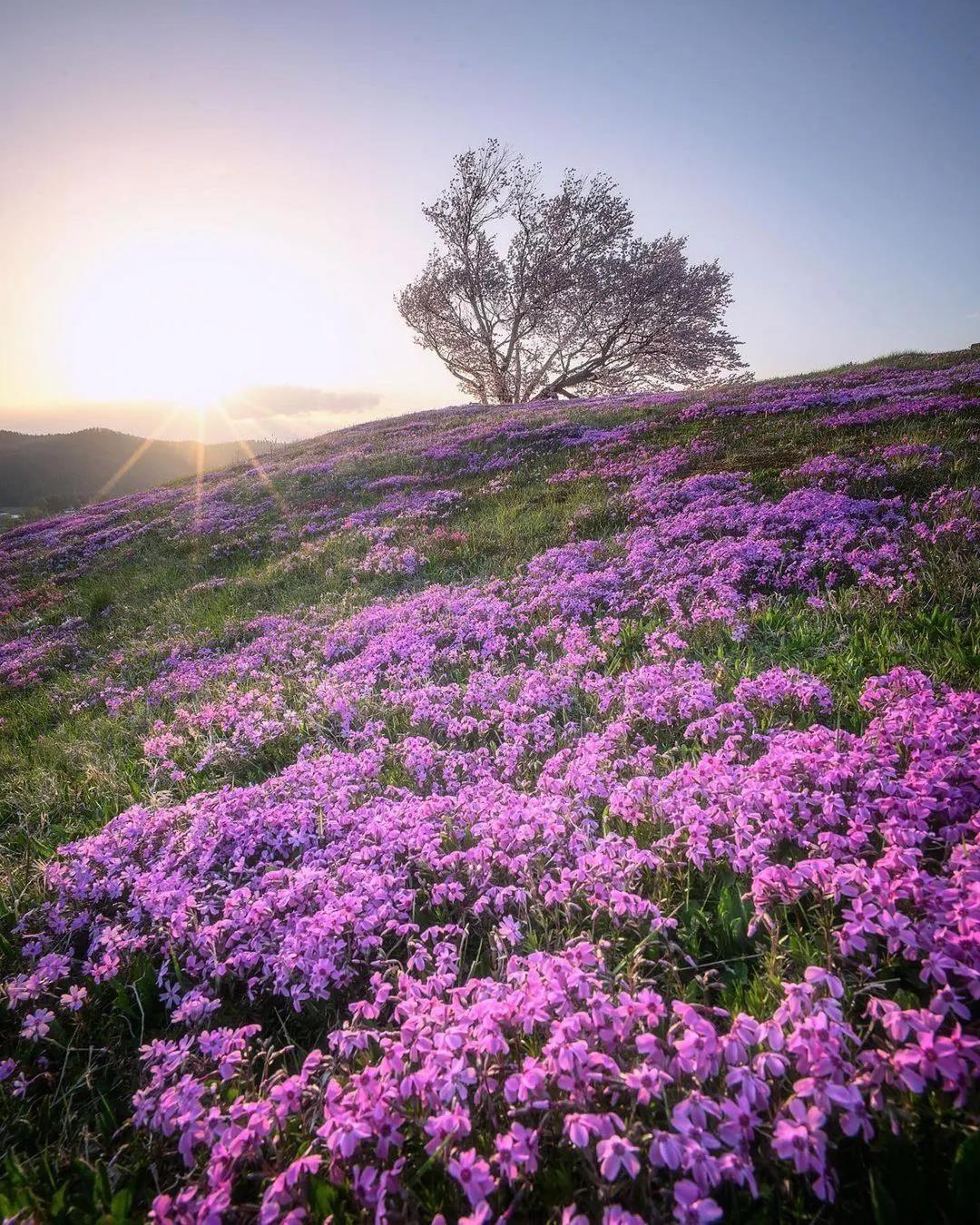 One journey ends, another begins.