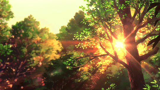 There is always something more to learn.