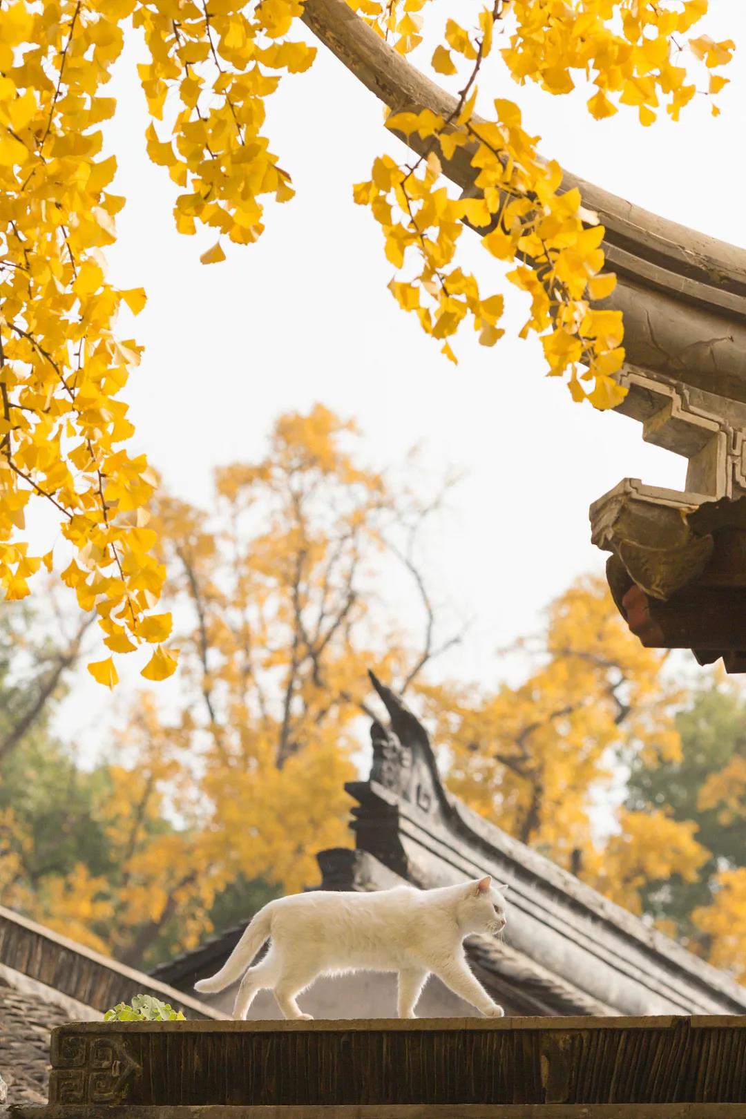 Time is always too short for those who need it.