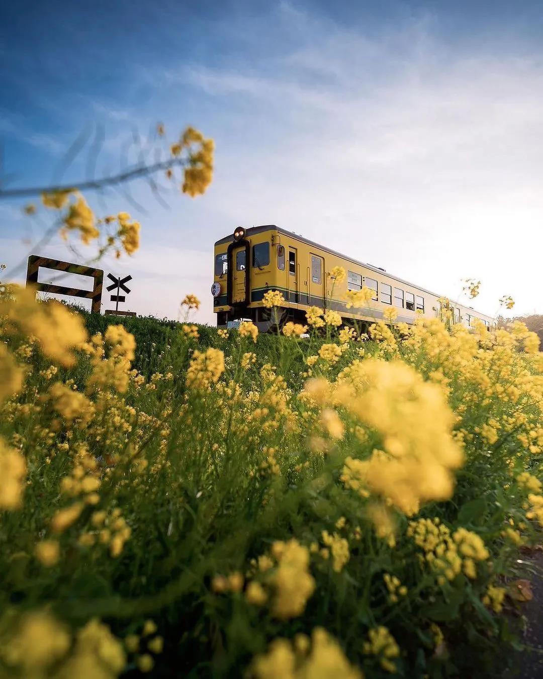 What makes life valuable is that it doesn’t last forever.