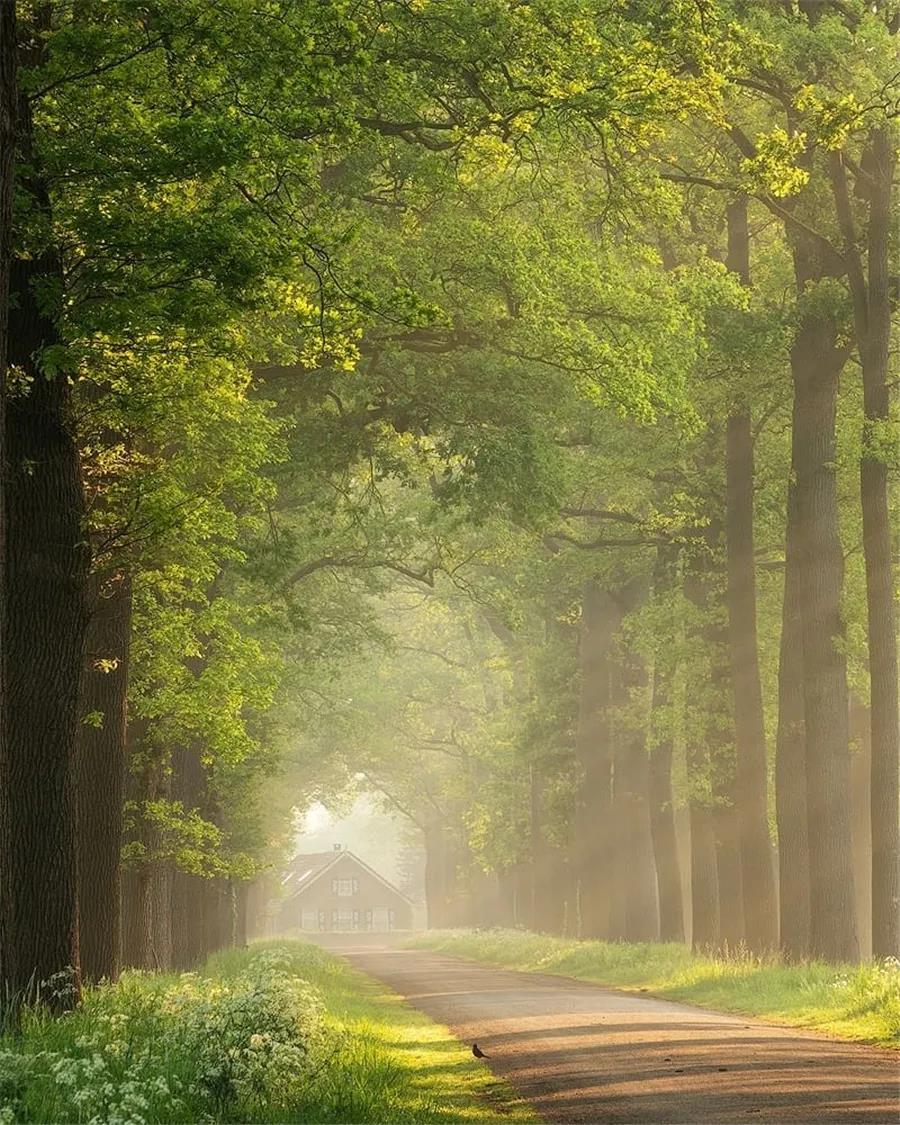 The center of bringing any dream into fruition is self-discipline.