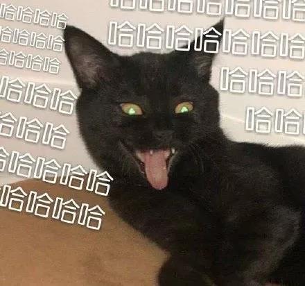 趁着年轻，好好犯病。