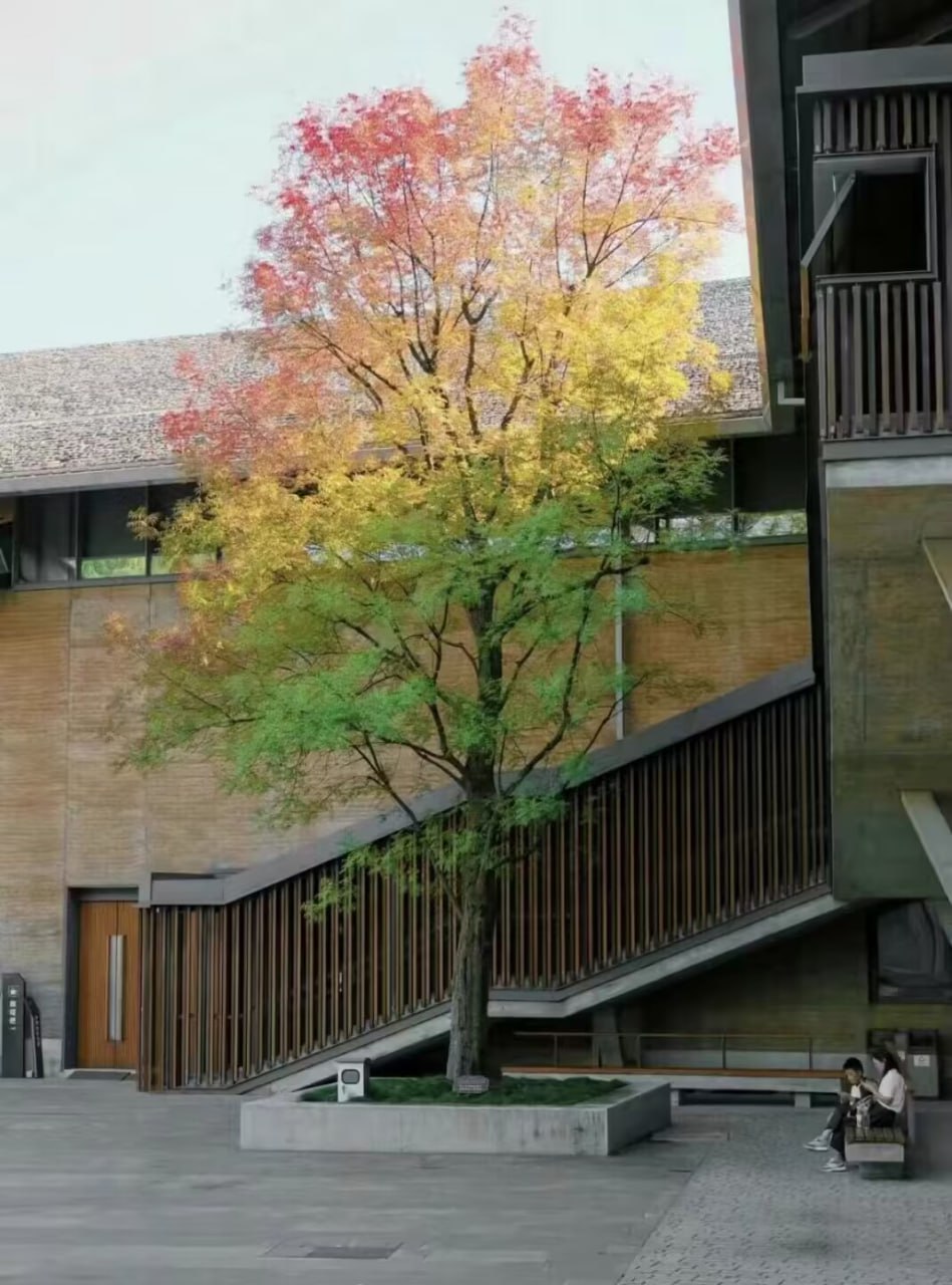 如果你想得到从未拥有过的东西，那么你就必须去做你从未做过的事情。